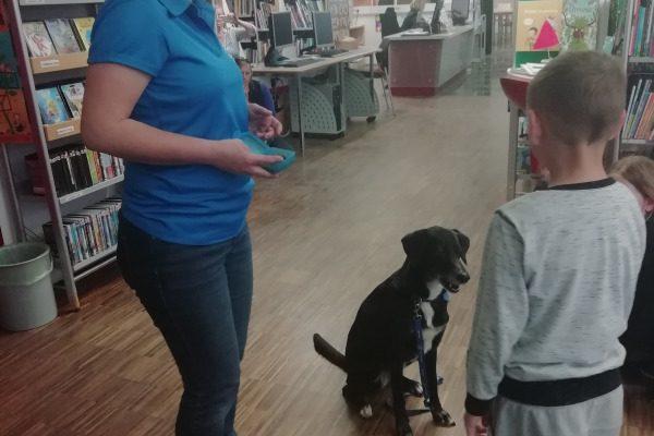 Tačke pomagačke na obisku