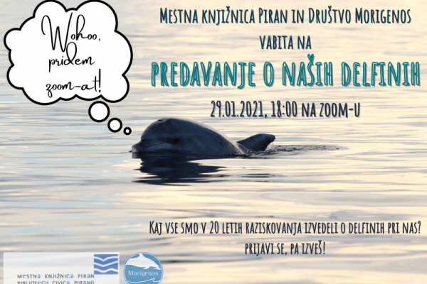 Predavanje o delfinih na Zoomu