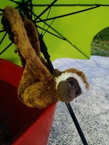 IMG-4387
