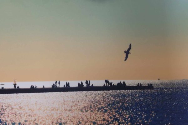 Fotografska razstava Neptunov krik, Barbara Kožar