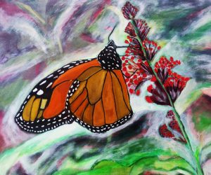 Rastava: Čopinel - Metulji