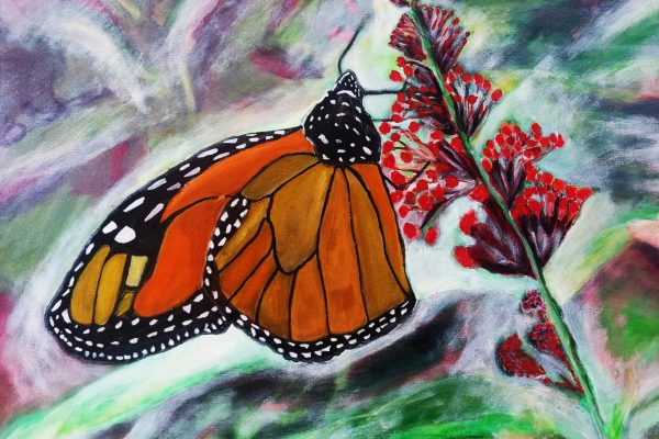 Razstava: Čopinel – Lepote majskih mavric