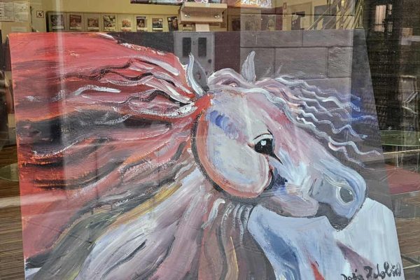 Mostra di Darja Zdolšek: I cavalli sono il mio amore!
